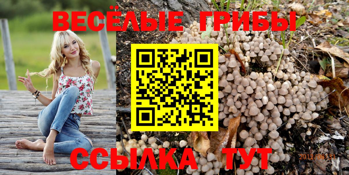 Балашиха  Галлюциногенные грибы мицелий  Псилоцибиновые грибы MAGIC MUSHROOMS  Вход с VPN 